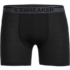 Icebreaker Anatomica Boxers Funktionsshorts Black Herren